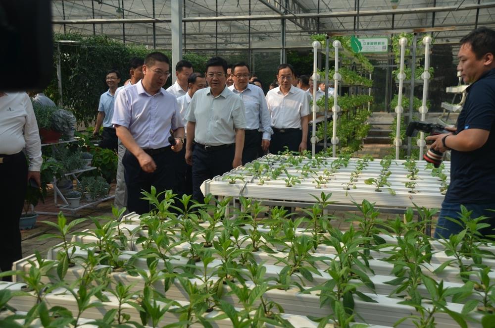 科技助农，播撒光的种子  精准扶贫，助力村落复兴